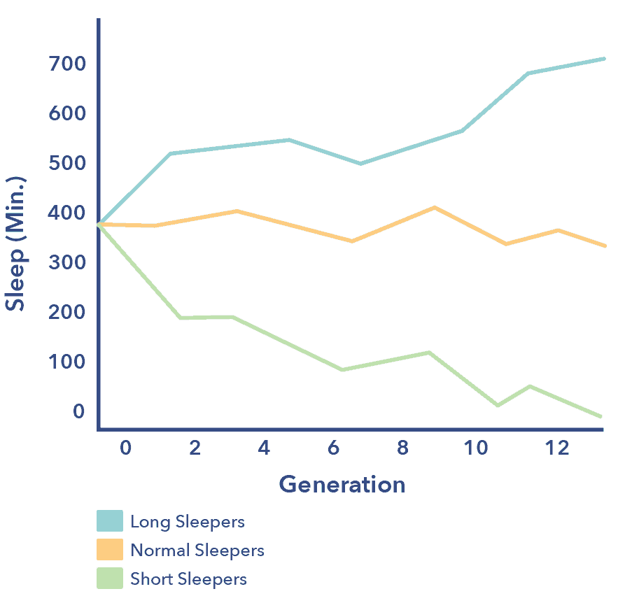 SO SleepEdu Genetics