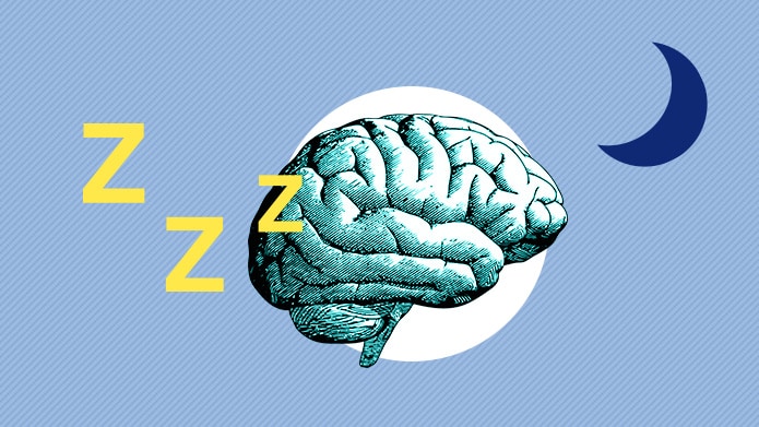 Sleeping brains