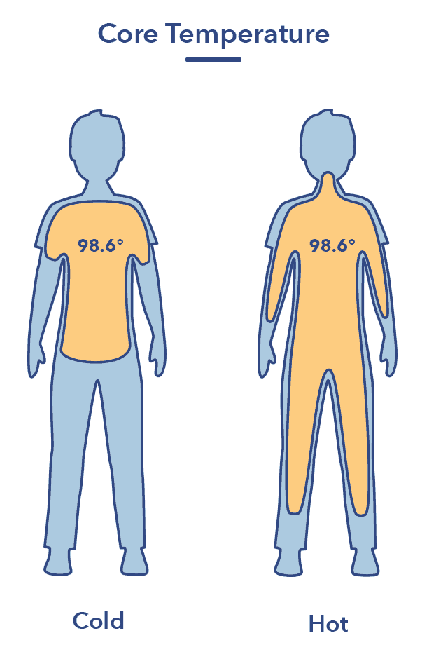 How Sleep Affects The Body Sleepopolis