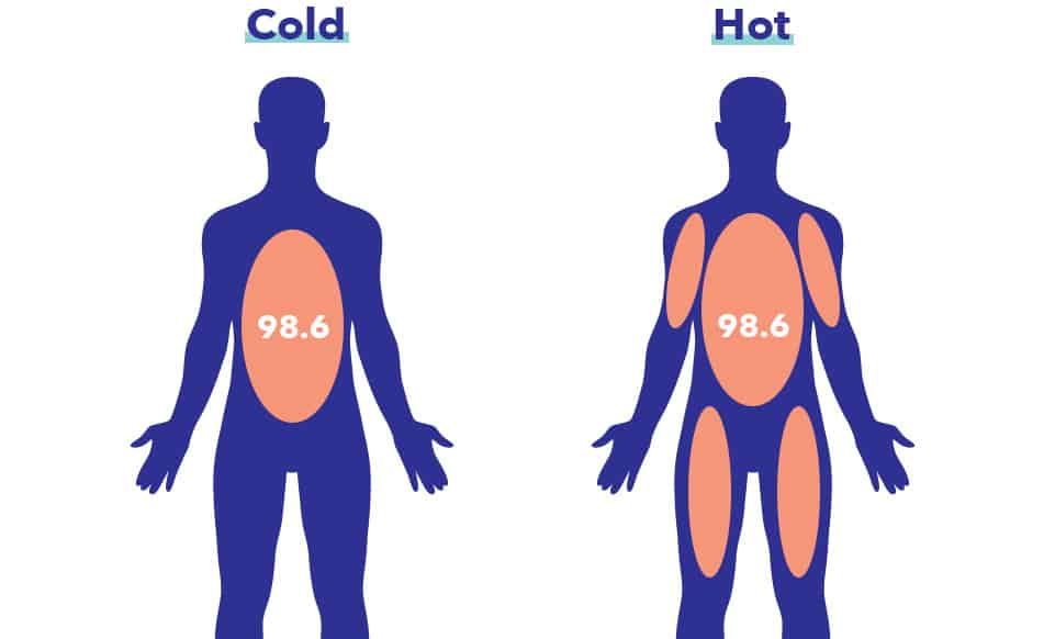 Heart Rate Variability and Sleep - Amerisleep