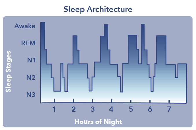 What is Sleep? | Sleepopolis