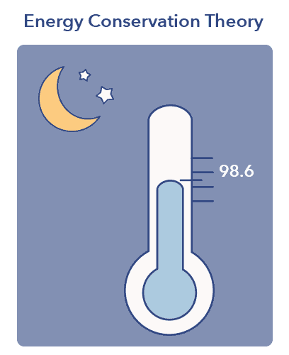 SO SleepEdu WhyWeSleep Thermometer