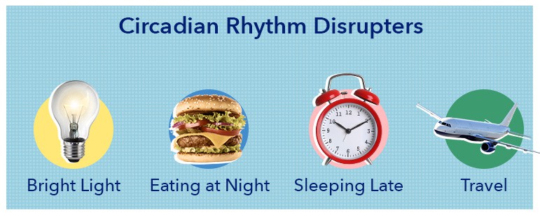 what is sleep circadian rhythm disruptors