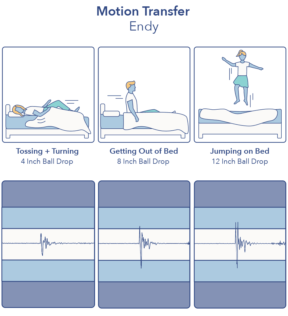 Endy Motion Transfer