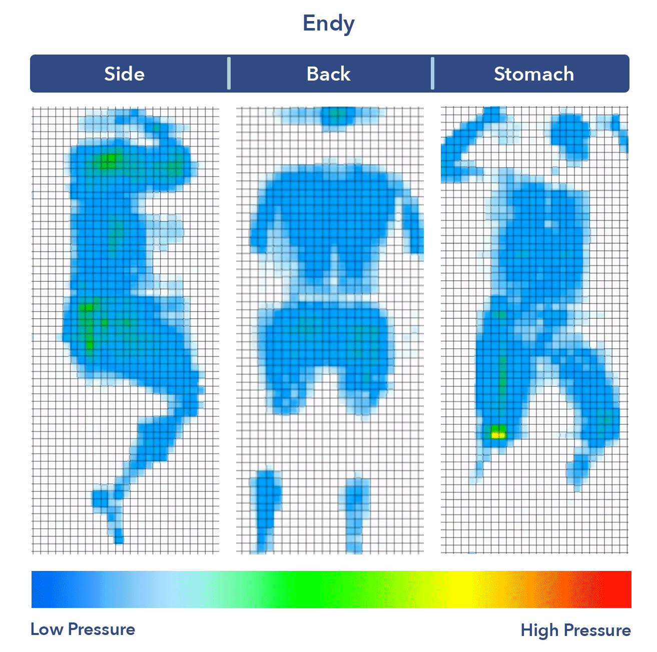 Endy Pressure Map