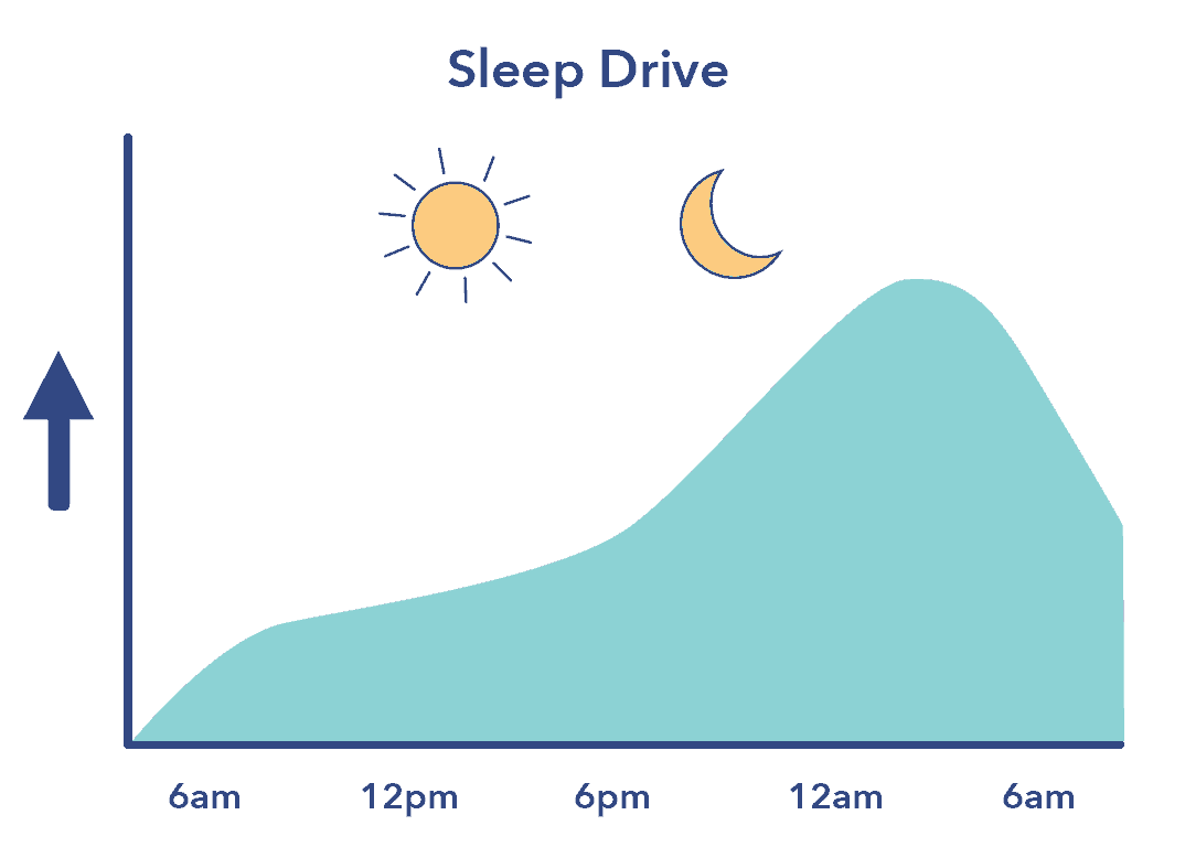 SO SleepEdu SleepRestriction SleepDrive