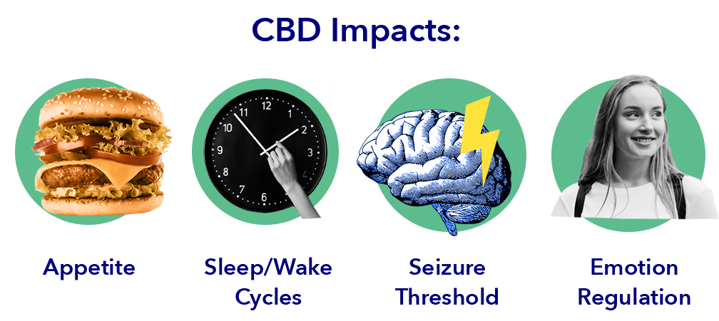SO SleepEdu CBD CBDImpacts