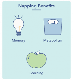 The Ultimate Guide To Napping | Sleepopolis