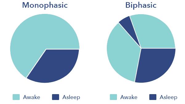 SO SleepEdu Napping MonophasicBiphasic