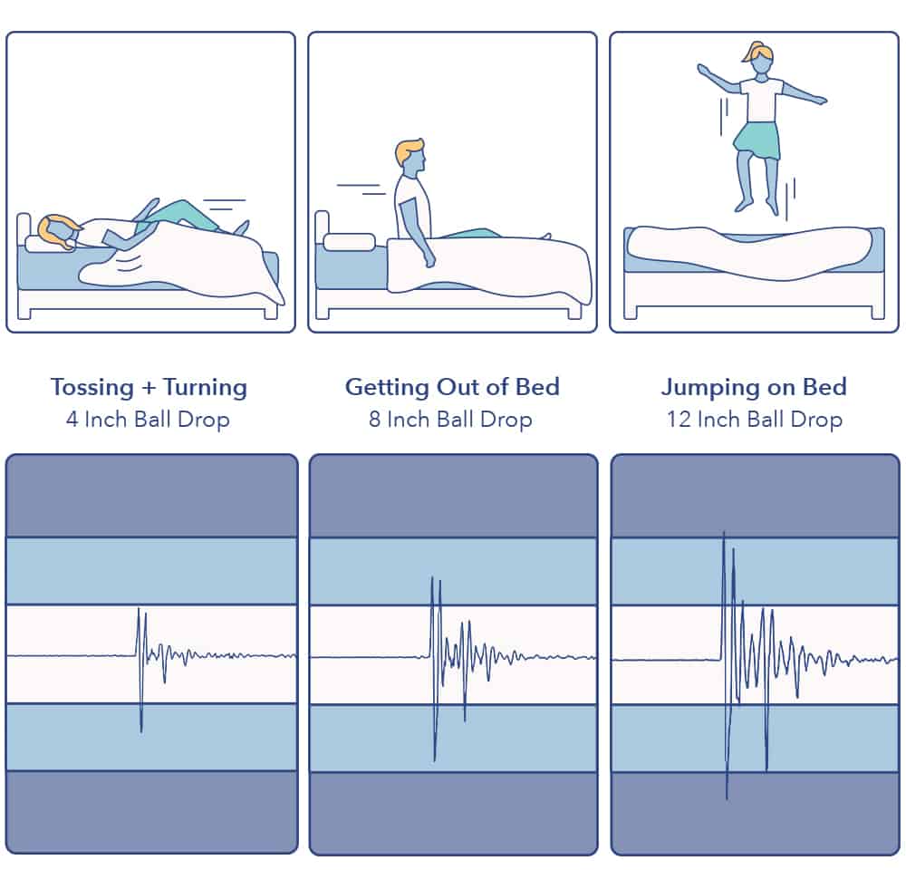 EcoSleep Motion Transfer