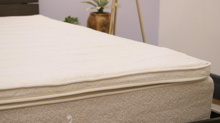 Birch Living Plush Pillow Top Review Sleepopolis