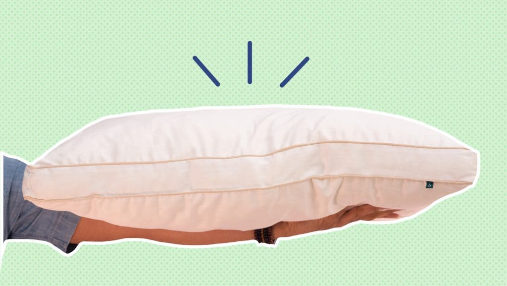 Birch Living Pillow Review Sleepopolis