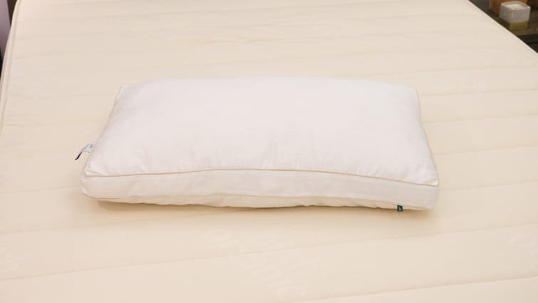 birch pillow cover