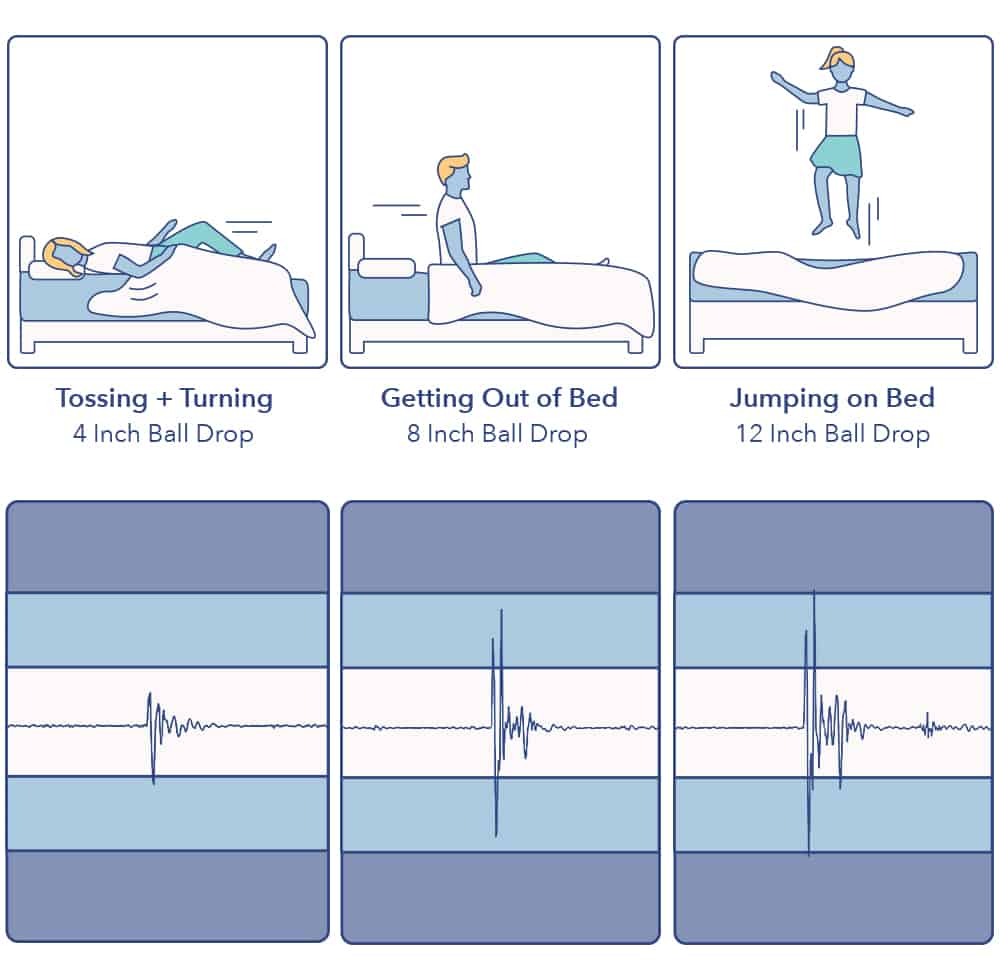 Signature Sleep Motion