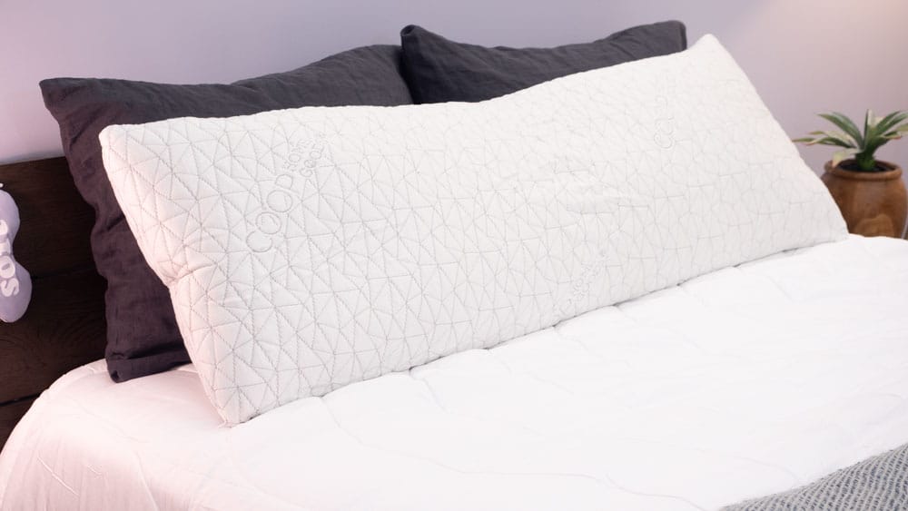 Best Body Pillows Sleepopolis