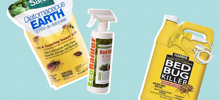 Best Bed Bug Killers