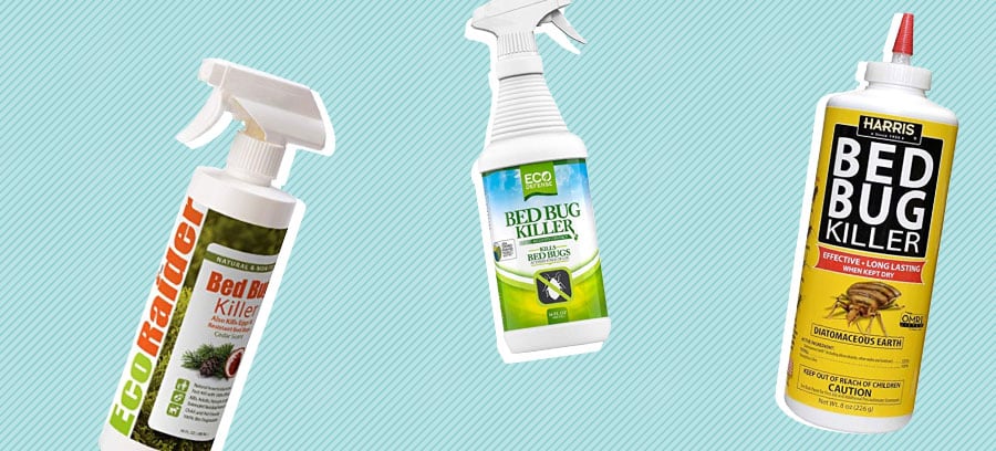 Best Bed Bug Sprays