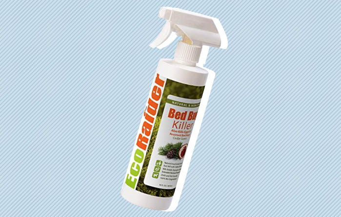 Best Bed Bug Sprays