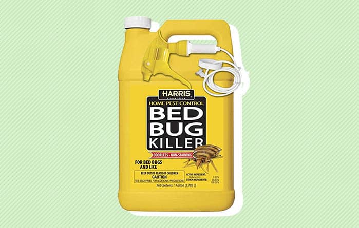 SO AmazonReviewPhotos BedBugKiller Harris