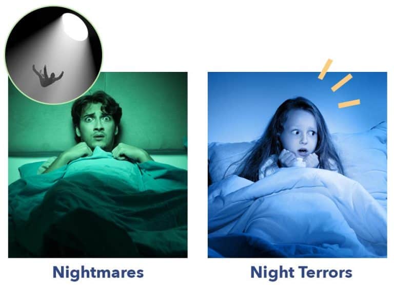 Night Terrors 2021 Ultimate Guide