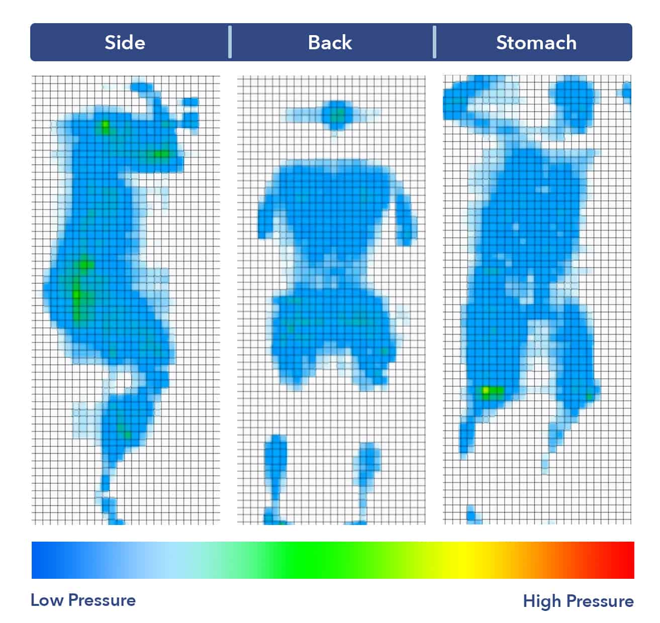 Zinus Memory Foam mattress pressure map