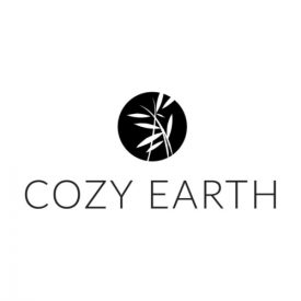 Cozy Earth Silk