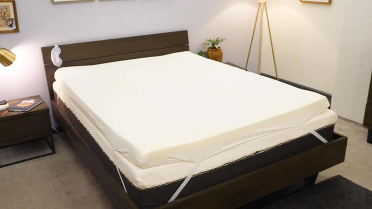 coop home goods mattress topper