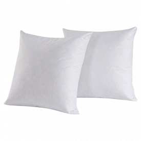 HOMESJUN Decorative Throw Pillow Insert