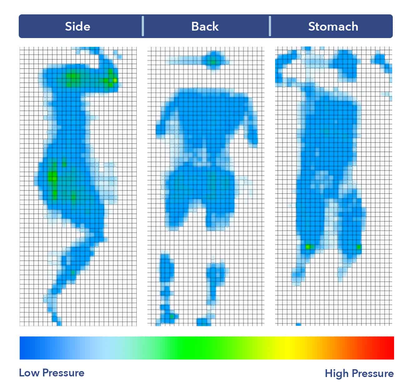 Intellibed Matrix Grand Pressure