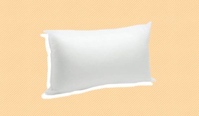 Foamily Premium Lumbar Stuffer Pillow Insert