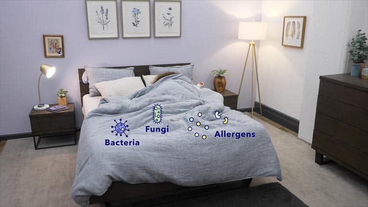 allergens bacteria sheets 