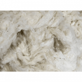 Organic Cotton PLUS Raw Cotton Fiber