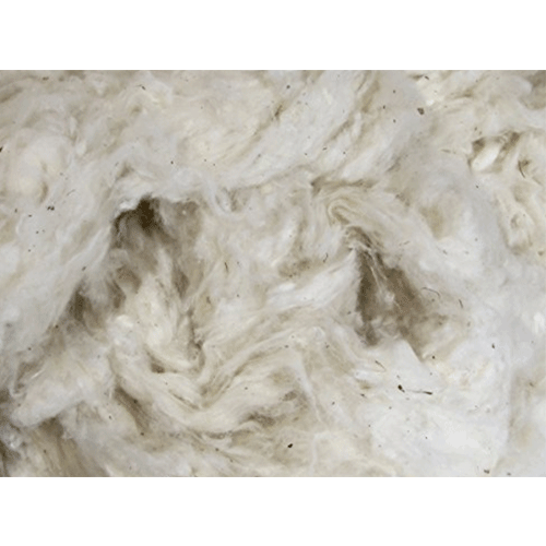 Organic Cotton PLUS Raw Cotton Fiber