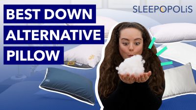 Best Down Alternative Pillow