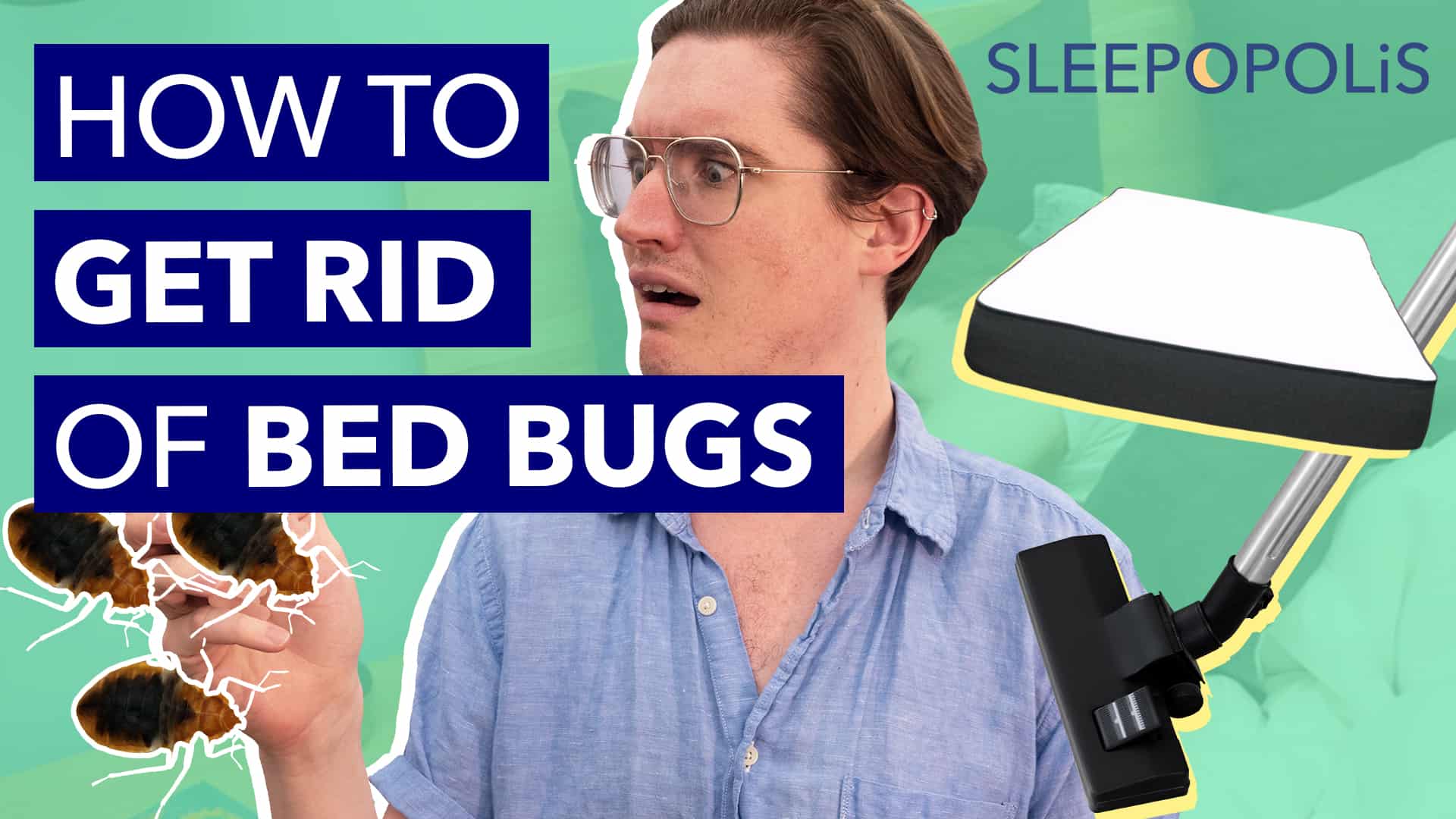 How to Get Rid of Bed Bugs in 3 Easy Steps