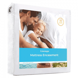 SureGuard Mattress Protectors Queen Size 100% Waterproof, Hypoallergenic -  Premium Fitted Cotton Terry Cover - 10 Year Warranty 