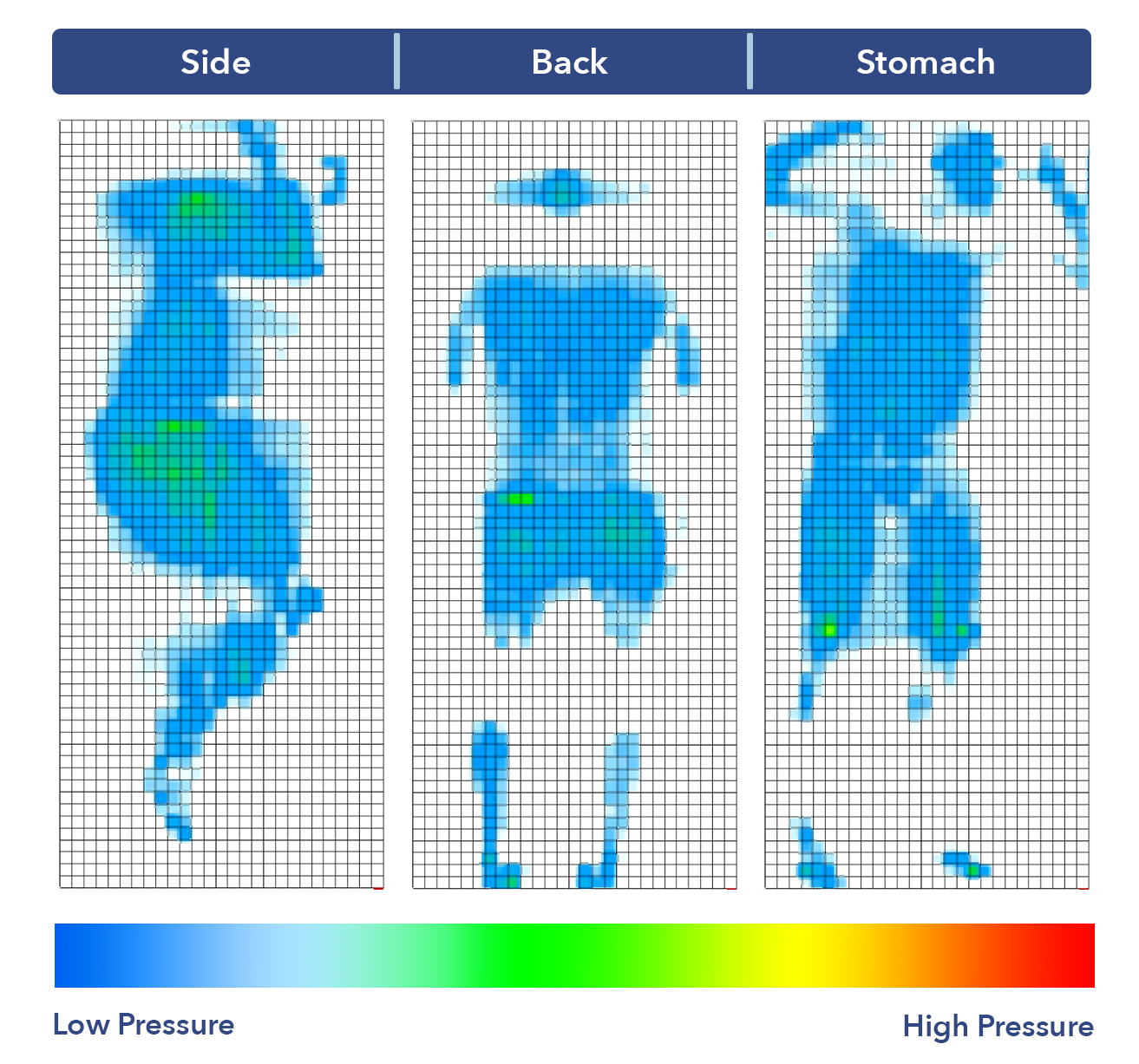 Apollo Mattress Pressure Map