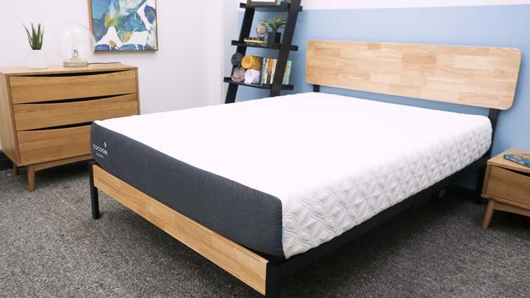 best sealy mattress for back sleepers