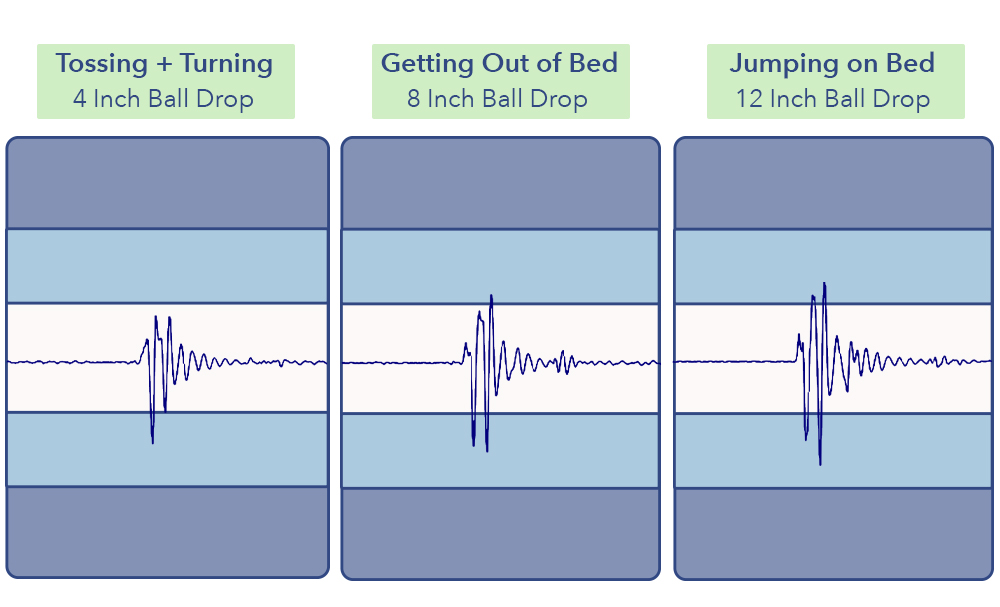 Rest Bed Purple Grid Motion Transfer