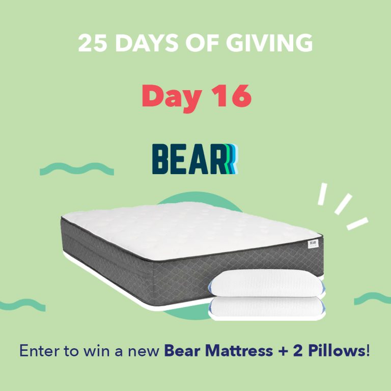 Bear Day16 25DaysOfGiving