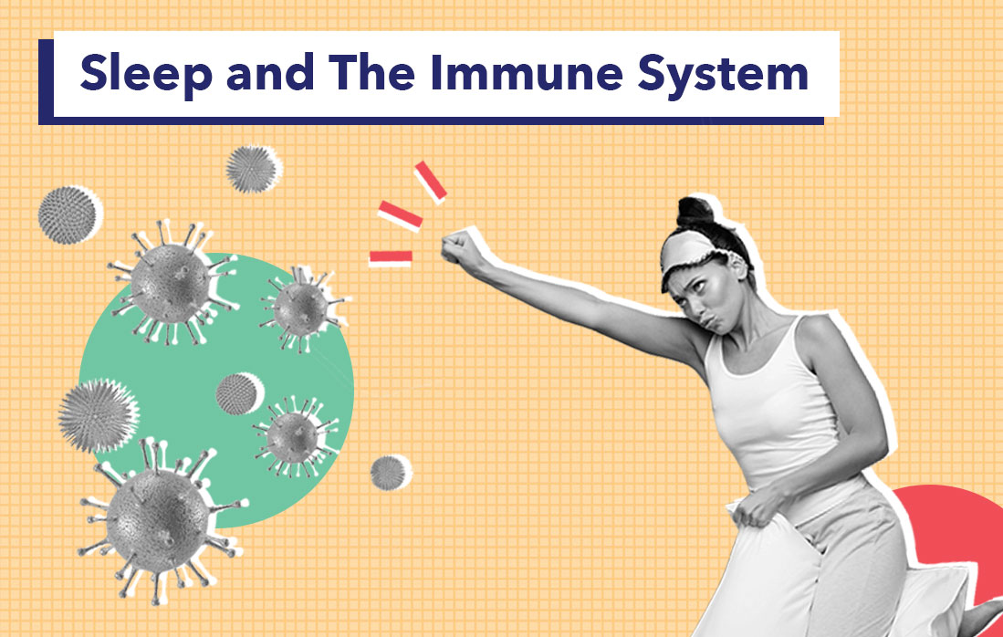 Sleep And The Immune System | Sleepopolis