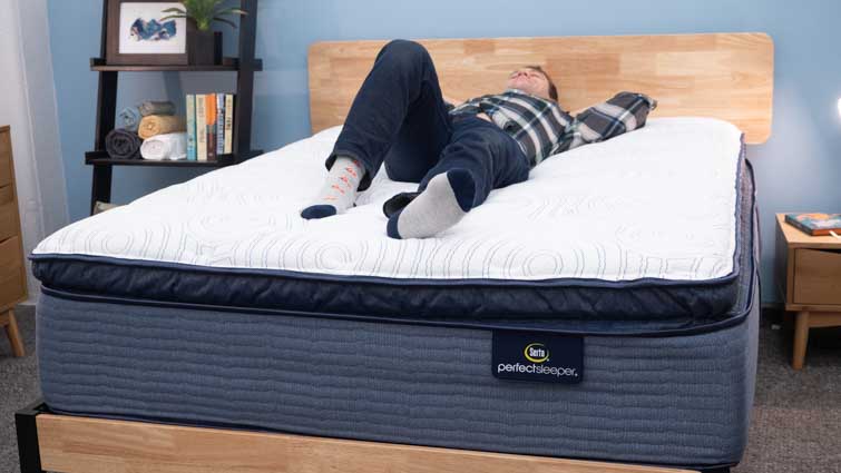 serta perfect sleeper back