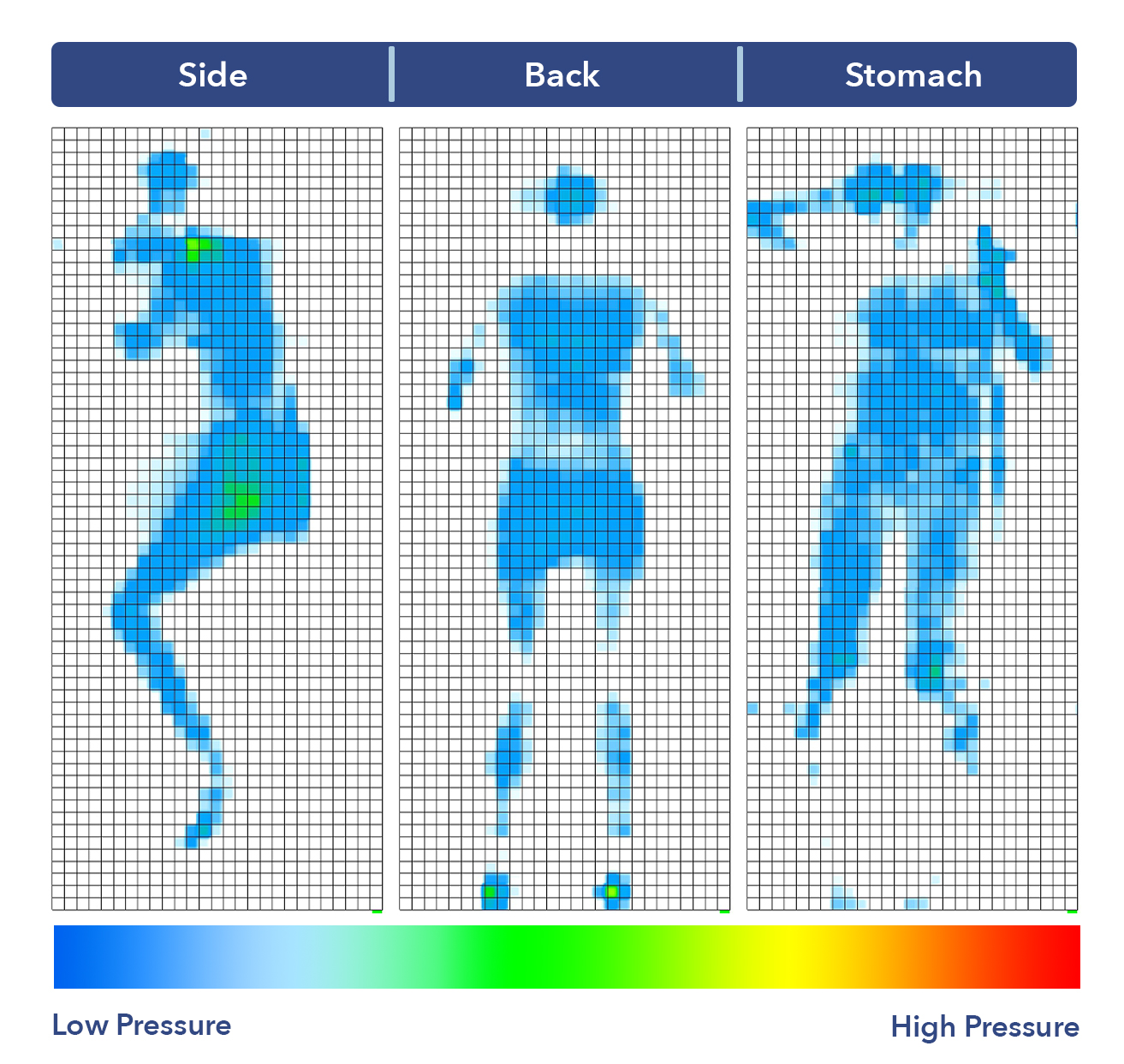 Leesa Hybrid pressure map