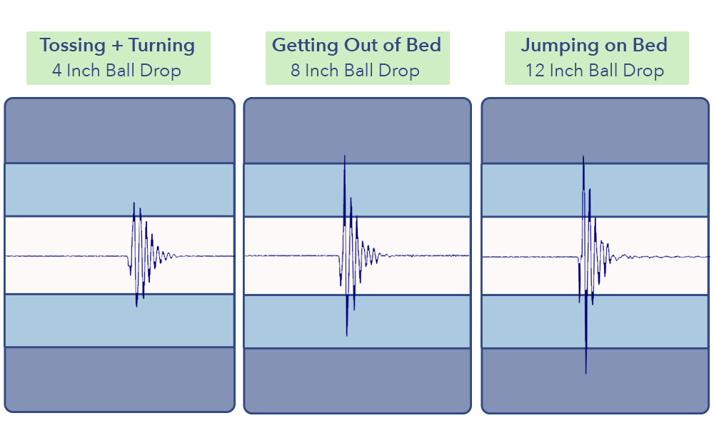 The Nolah's motion transfer test results.