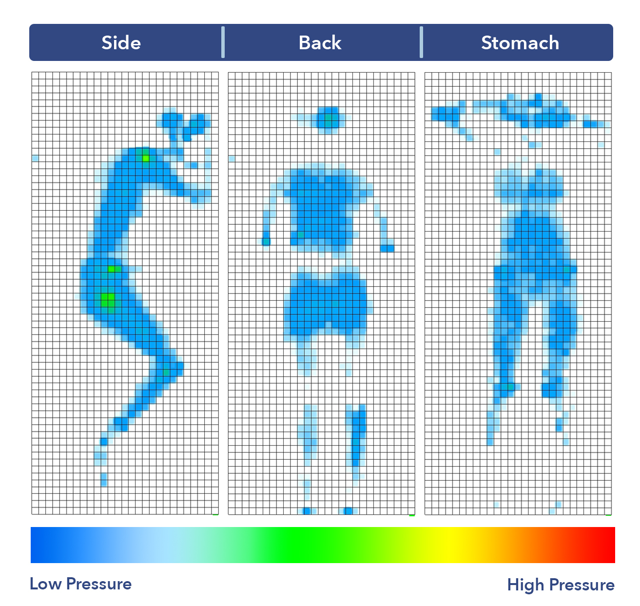 The Puffy's pressure map results.