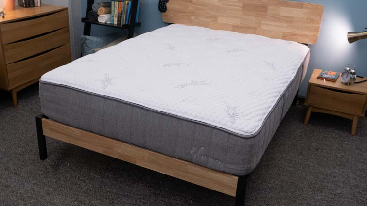 The Bloom Hybrid in the Sleepopolis studio