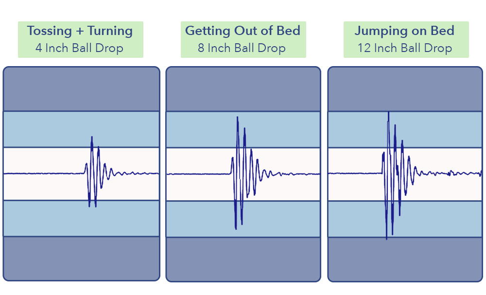 The Bliss's motion transfer results.