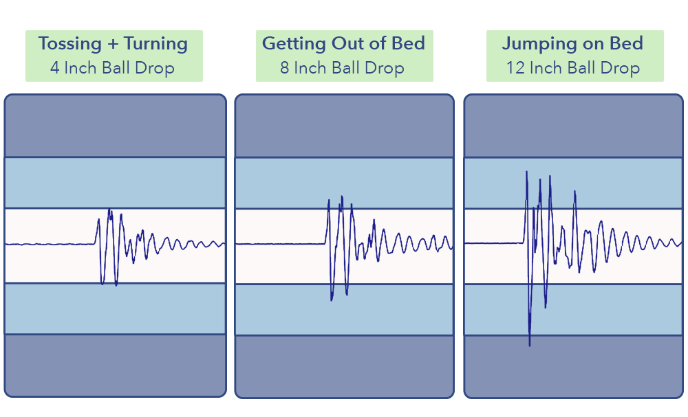 The Bliss's motion transfer scores.