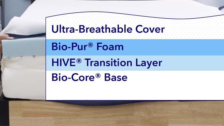 Amerisleep AS4 Medium Softness Bio Core Plush Foam Mattress Full