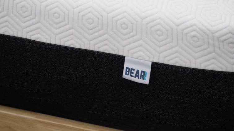 Bear Pro cover close up